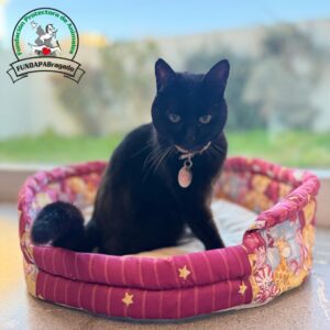 Cama canasta roja motivos - Fundapab