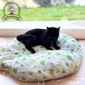 Cama redonda - Mediana - Blanco con Motivos verdes